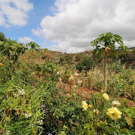 Countryside Views House Teror Appartement Buitenkant foto