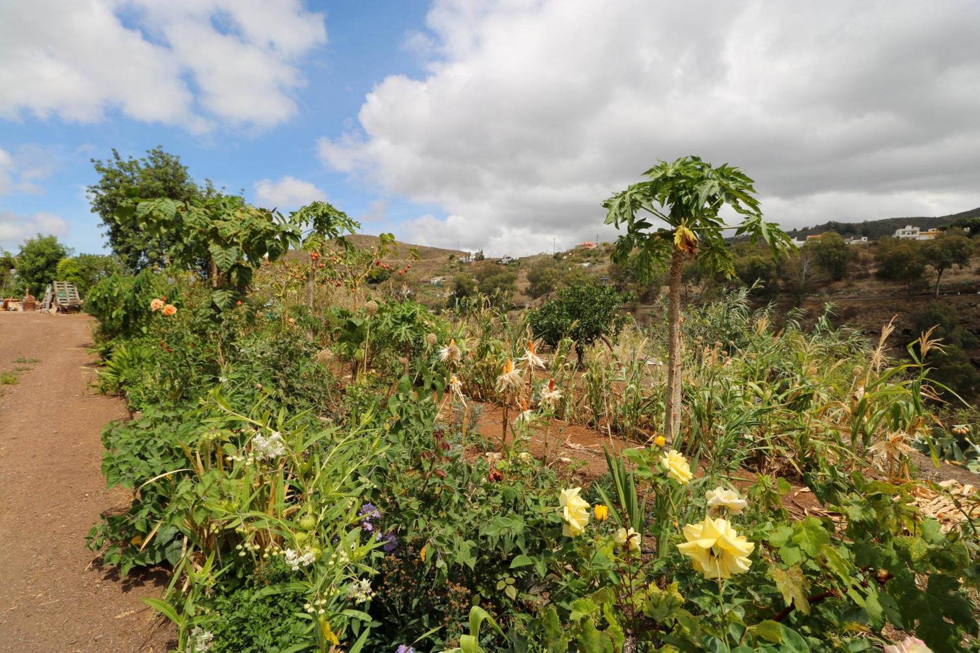 Countryside Views House Teror Appartement Buitenkant foto